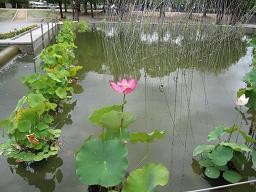 f:id:cangael:20110825113418j:image f:id:cangael:20110825113418j:image