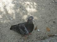 f:id:cangael:20110909144531j:image:left