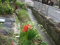 f:id:cangael:20110921115036j:image