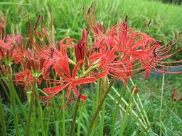 f:id:cangael:20110921115257j:image