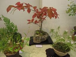 f:id:cangael:20111008162327j:image f:id:cangael:20111008162327j:image