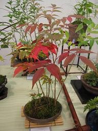 f:id:cangael:20111008162428j:image f:id:cangael:20111008162428j:image