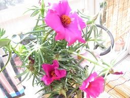 f:id:cangael:20111018123443j:image f:id:cangael:20111018123443j:image