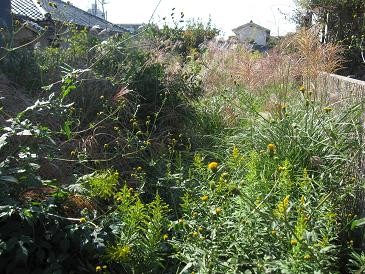 f:id:cangael:20111019095032j:image