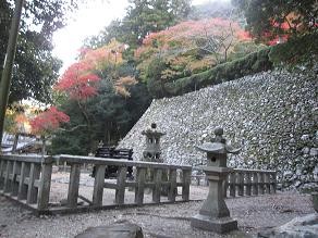 f:id:cangael:20111124153303j:image:left