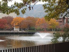 f:id:cangael:20111129132803j:image:left