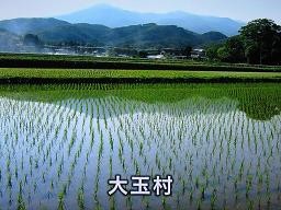 f:id:cangael:20111208163904j:image:right