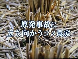 f:id:cangael:20111209134512j:image:right