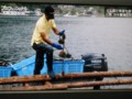 f:id:cangael:20111212221311j:image:medium f:id:cangael:20111212221311j:image:medium