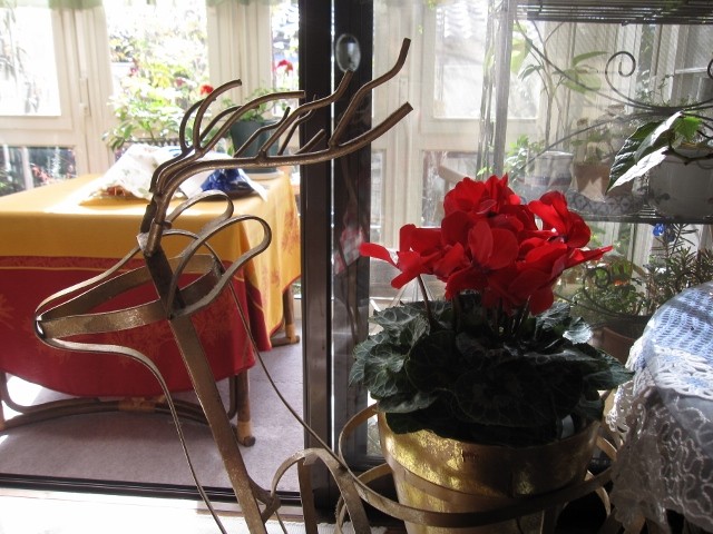 f:id:cangael:20111216105022j:image:w360:right
