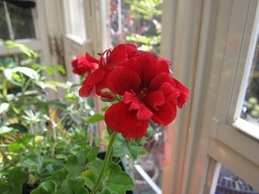 f:id:cangael:20111219100931j:image
