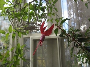 f:id:cangael:20111219100956j:image:right