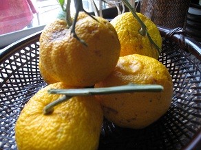 f:id:cangael:20111222102258j:image:right