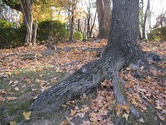 f:id:cangael:20111224152007j:image