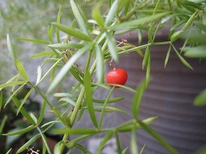 f:id:cangael:20120119120629j:image