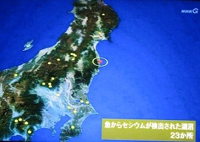 f:id:cangael:20120119210613j:image:right