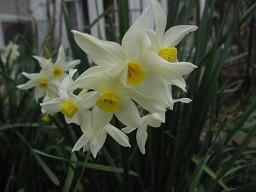 f:id:cangael:20120322141215j:image:right