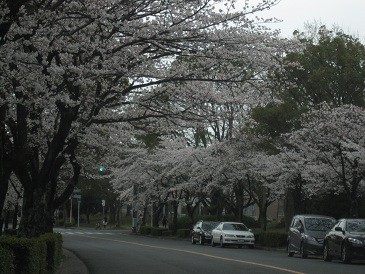 f:id:cangael:20120409161028j:image f:id:cangael:20120409161028j:image