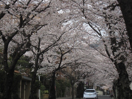 f:id:cangael:20120409163034j:image:right