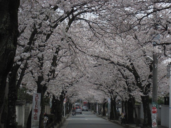 f:id:cangael:20120409163135j:image:left f:id:cangael:20120409163135j:image:left