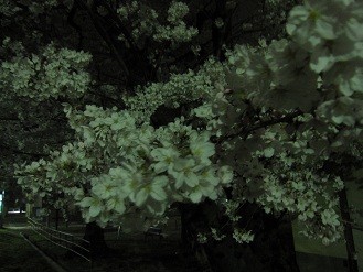 f:id:cangael:20120410222810j:image f:id:cangael:20120410222810j:image