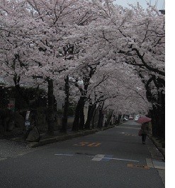 f:id:cangael:20120411094645j:image:right f:id:cangael:20120411094645j:image:right