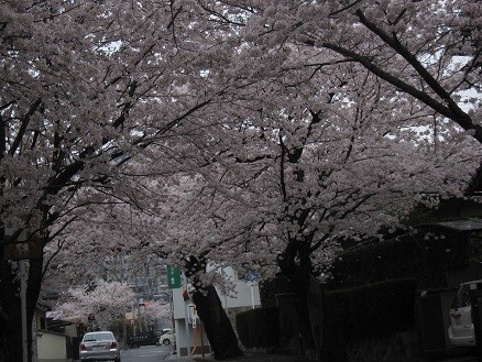 f:id:cangael:20120411094726j:image:right f:id:cangael:20120411094726j:image:right