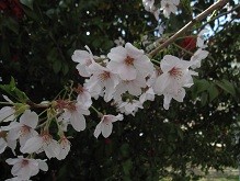 f:id:cangael:20120412143348j:image:left f:id:cangael:20120412143348j:image:left