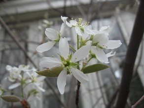 f:id:cangael:20120416112901j:image:left f:id:cangael:20120416112901j:image:left