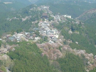 f:id:cangael:20120419093607j:image:left