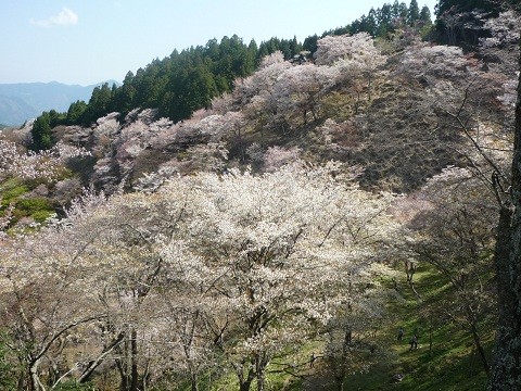 f:id:cangael:20120419094812j:image:right