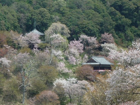 f:id:cangael:20120419121015j:image