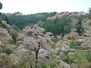 f:id:cangael:20120419124319j:image:right