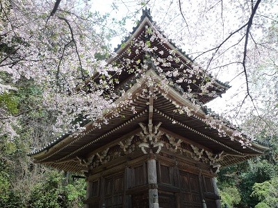 f:id:cangael:20120419125442j:image