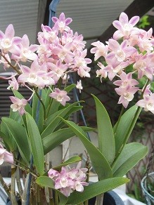 f:id:cangael:20120426133828j:image:right