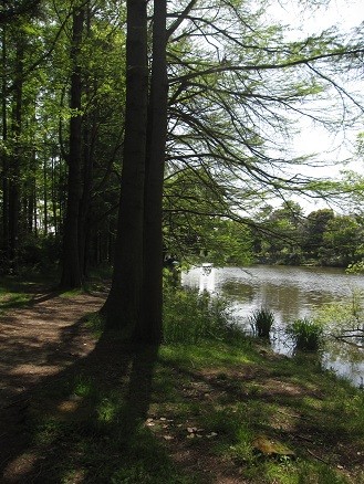 f:id:cangael:20120428140654j:image