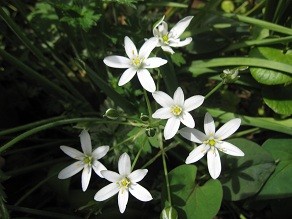 f:id:cangael:20120501103501j:image:right