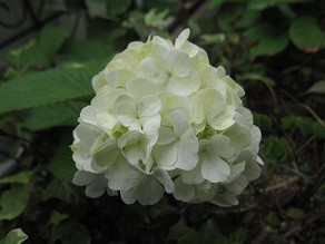 f:id:cangael:20120501133223j:image:right