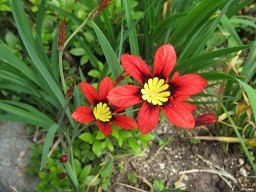 f:id:cangael:20120501133724j:image:right