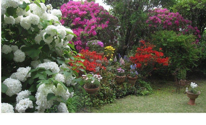f:id:cangael:20120503144341j:image:left