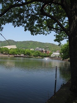 f:id:cangael:20120505105215j:image