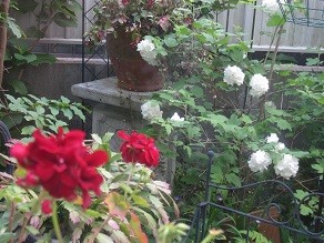 f:id:cangael:20120507174229j:image:left