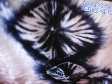 f:id:cangael:20120513075918j:image