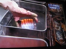 f:id:cangael:20120513080316j:image