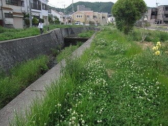 f:id:cangael:20120513150841j:image:right