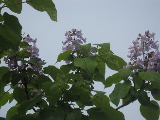 f:id:cangael:20120513151856j:image:right