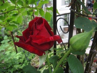 f:id:cangael:20120518093752j:image:right