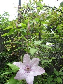 f:id:cangael:20120520092426j:image:left f:id:cangael:20120520092426j:image:left