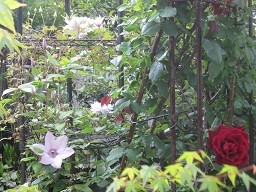 f:id:cangael:20120521071311j:image:right