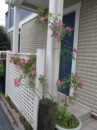 f:id:cangael:20120521161237j:image f:id:cangael:20120521161237j:image